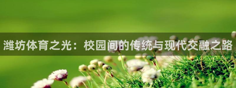 7m体育篮球比分网：潍坊体育之光：校园间的传统与现代交融之路