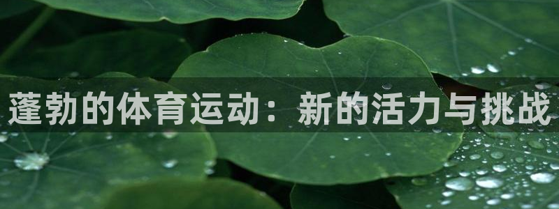 7m体育篮球比分网：蓬勃的体育运动：新的活力与挑战
