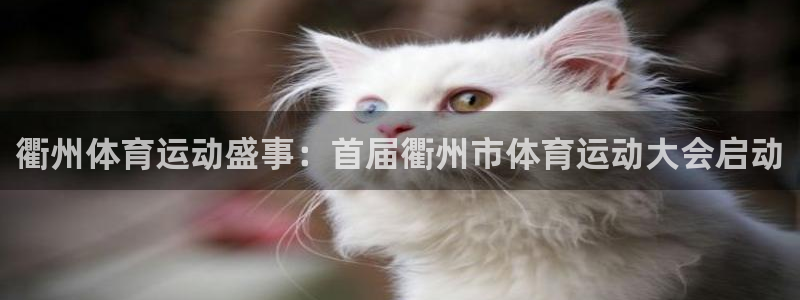 7m体育官网：衢州体育运动盛事：首届衢州市体育运动大会启动