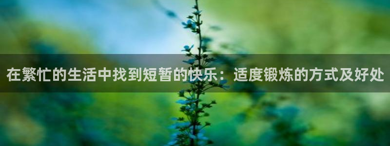 7m体育网：在繁忙的生活中找到短暂的快乐：适度锻炼的方式及好处