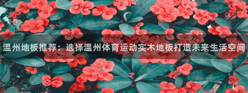 7m体育旧版本：温州地板推荐：选择温州体育运动实木地板打造未来生活空间