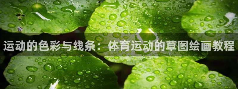 7m体育比分：运动的色彩与线条：体育运动的草图绘画教程
